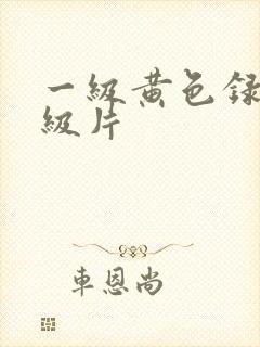 一级黄色录像一级片