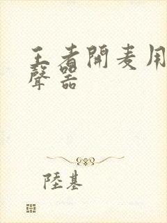 王者开麦用的变声器