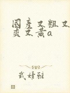 国产又粗又猛又爽又黄a