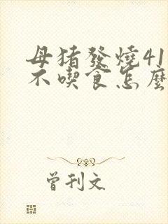 母猪发烧41度不吃食怎么办