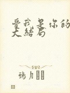 爱我是你的谎言大结局