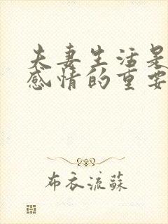 夫妻生活是维系感情的重要方式