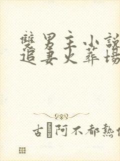 双男主小说推荐追妻火葬场