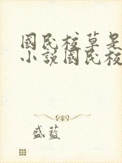 国民校草是女生小说国民校草是女生