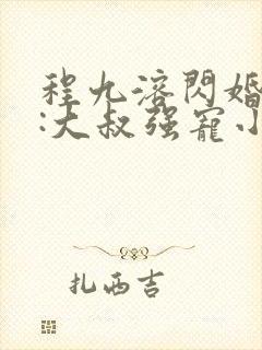 程九溶闪婚财阀:大叔强宠小娇妻txt下载