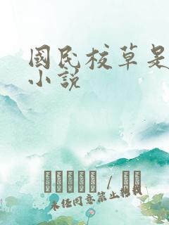 国民校草是女生小说