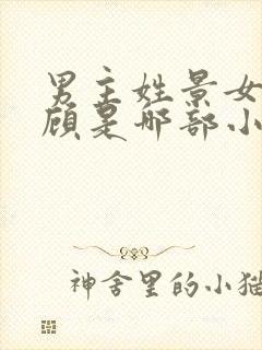 男主姓景女主姓顾是哪部小说