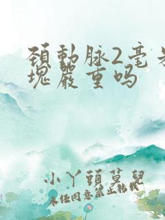 颈动脉2毫米斑块严重吗