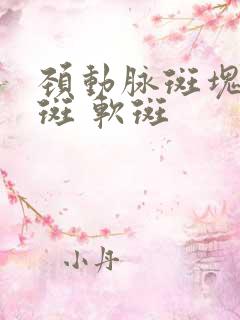 颈动脉斑块 硬斑 软斑