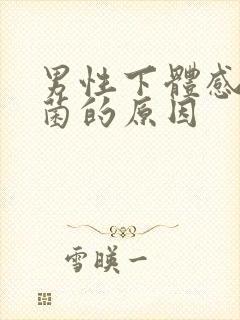 男性下体感染真菌的原因