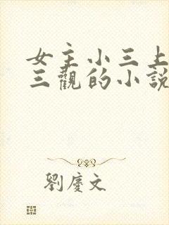 女主小三上位无三观的小说
