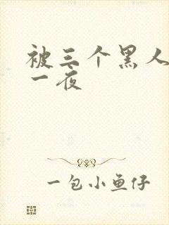 被三个黑人猛躁一夜