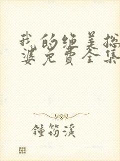 我的绝美总裁老婆免费全集