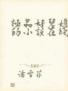 极品好儿媳秦雨的小说在线阅读无弹窗