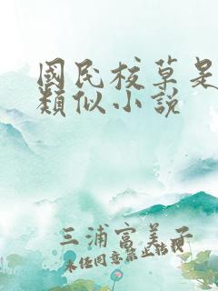 国民校草是女生类似小说