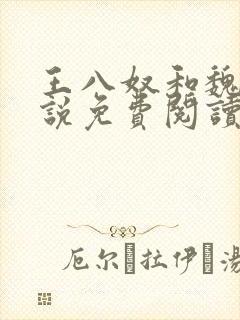 王八奴和魏敏小说免费阅读