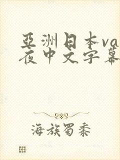 亚洲日本va午夜中文字幕一区