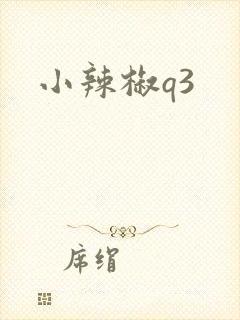 小辣椒q3