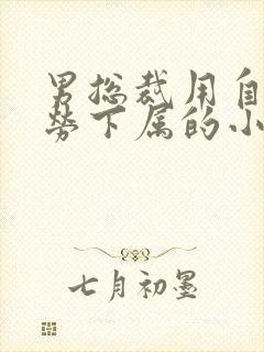 男总裁用自己犒劳下属的小说双男主