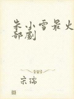 朱小雪最火的三部剧