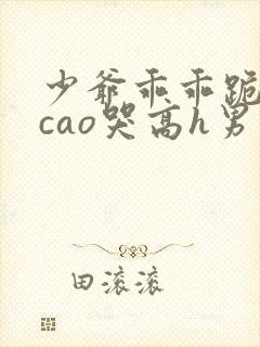 少爷乖乖跪趴被cao哭高h男男小说