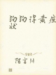 狗狗得黄疸的症状