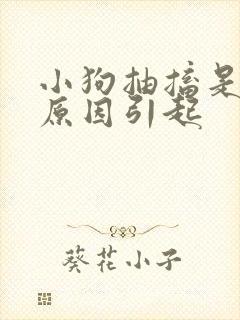 小狗抽搐是什么原因引起