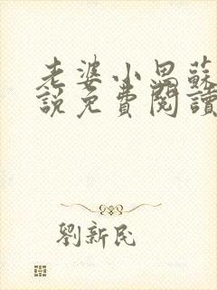 老婆小思苏颖小说免费阅读