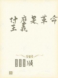 什么是革命民主主义