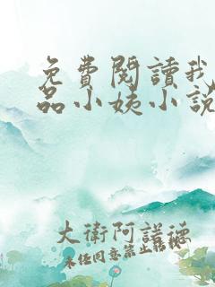 免费阅读我的极品小姨小说