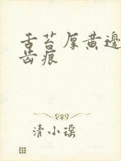 舌苔厚黄边上有齿痕