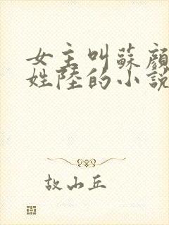 女主叫苏颜男主姓陆的小说