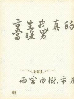 重生我真的只想当暖男