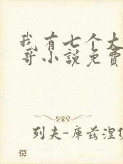 我有七个大佬哥哥小说免费阅读txt