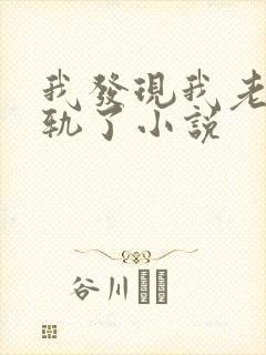 我发现我老婆出轨了小说