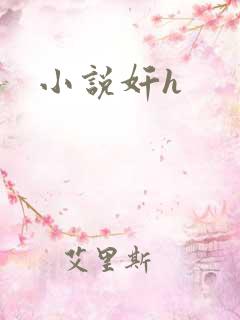 小说奸h