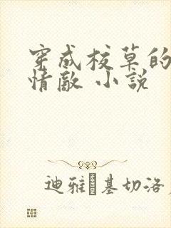 穿成校草的炮灰情敌 小说
