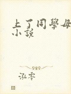上了同学母亲的小说
