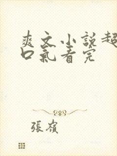 爽文小说超长一口气看完