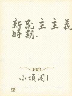 新民主主义革命时期.