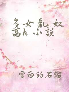 多女 乱 奴 高h 小说