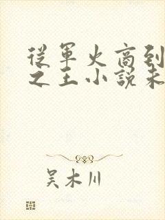 从军火商到战争之王小说未删减版