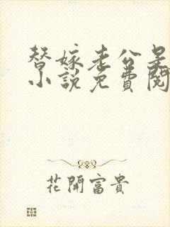 替嫁老公是大佬小说免费阅读