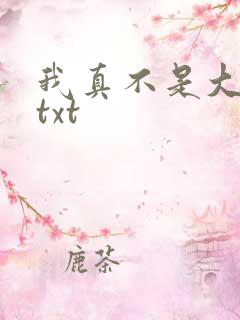 我真不是大佬 txt