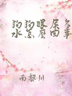 狗狗眼屎多流口水怎么回事