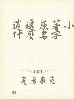 逍遥原著小说叫什么名字