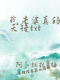 我老婆真的不是天后txt