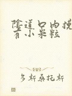 阴道口内摸起来有小米粒