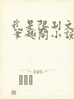 我是限制文的女笔趣阁小说