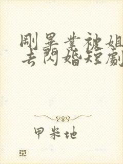 刚毕业被姐姐拉去闪婚短剧免费